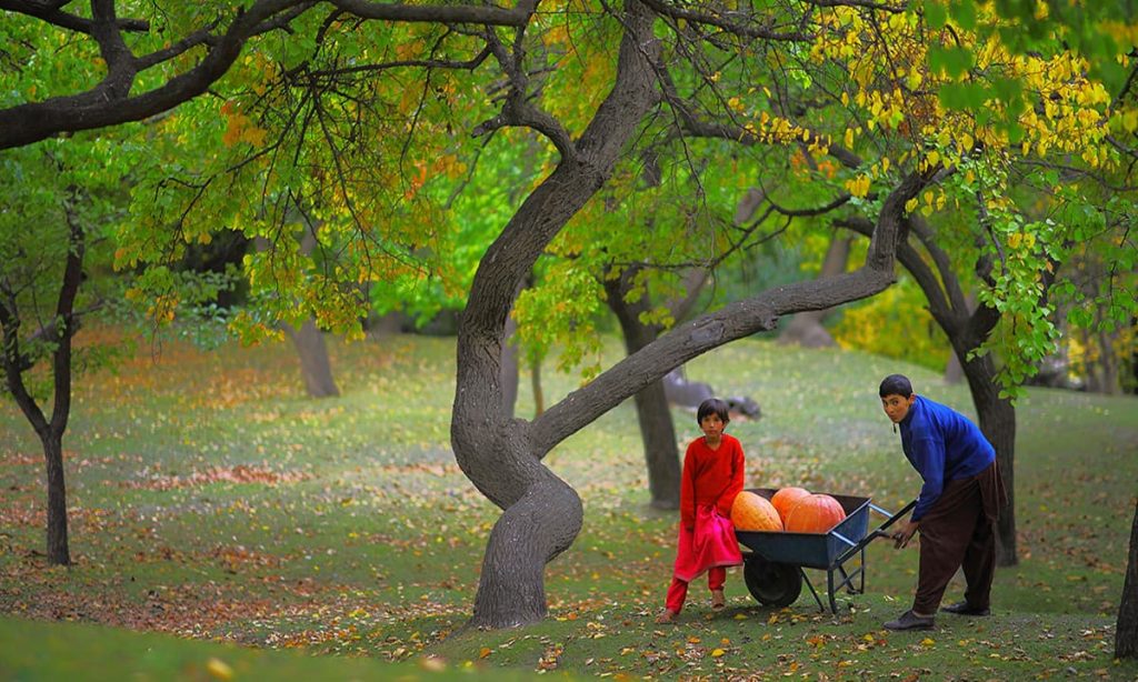 Top 10 Valleys of Pakistan you must visit once